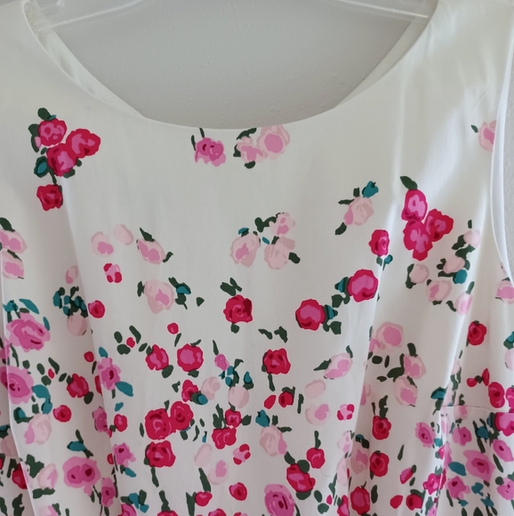 Talbots Floral Pleated Rose Garden Fit & Flare Cotton Dress, size 2 - Picture 6 of 16